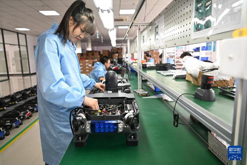 哈爾濱新區 技術服務涌動創新熱潮，引領產業振興